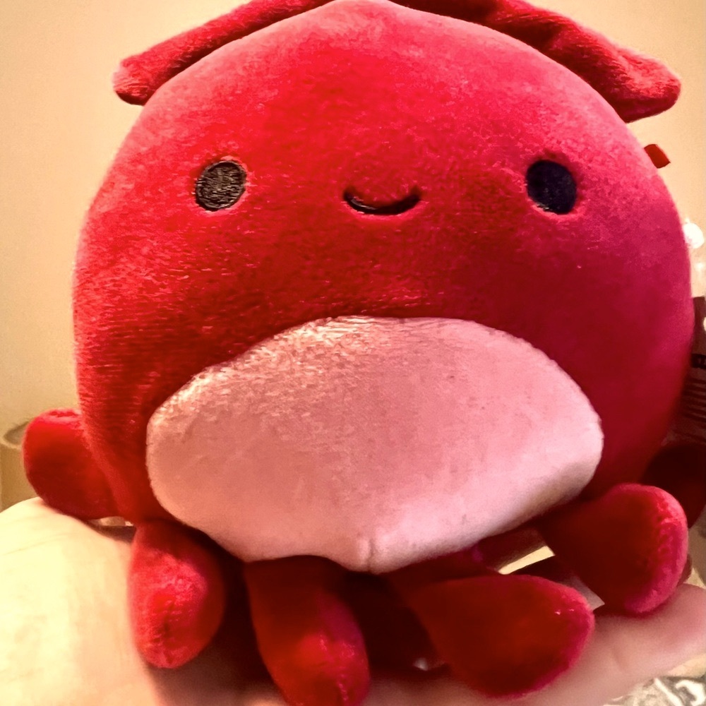 Altman the Red Squid Plush Toy